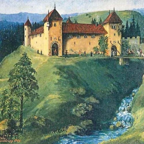 Ehemalige Burg in Balm Ehemalige Burg in Balm