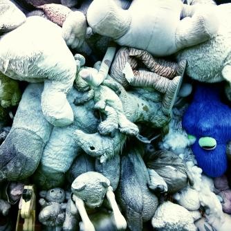 IMG_20190718_1415053_rewind_kindlephoto-6166265