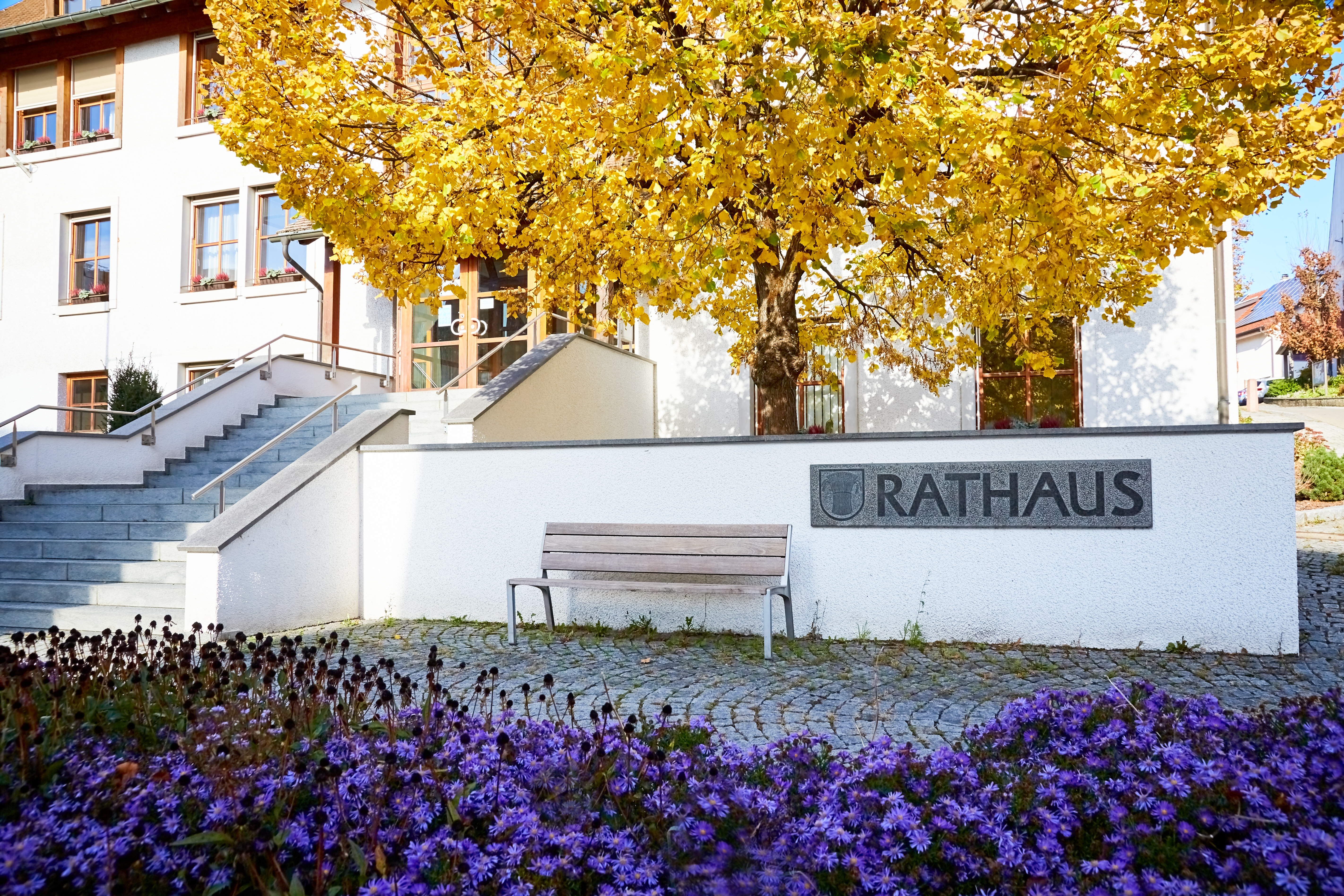 Ansicht Rathaus Lottstetten mit Treppenaufgang Baum und Blumen